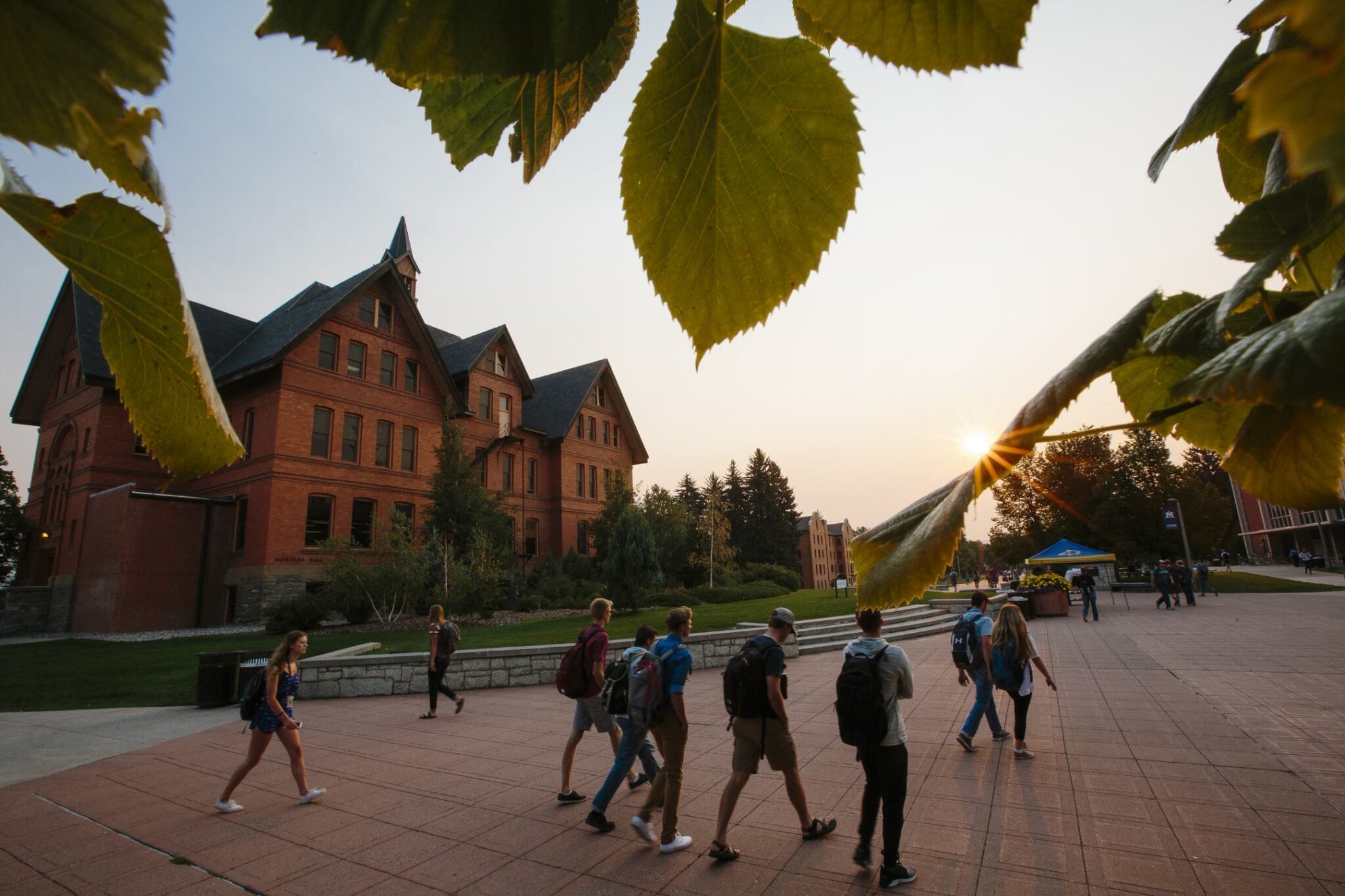 Montana State University sets new research record at $257M • Daily Montanan