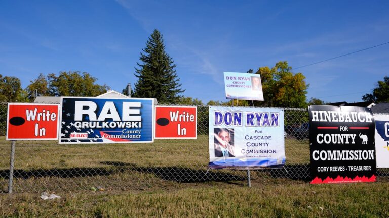Cascade County candidate said Democrats ‘infiltrated’ her GOP primary, but her claim is tough to prove