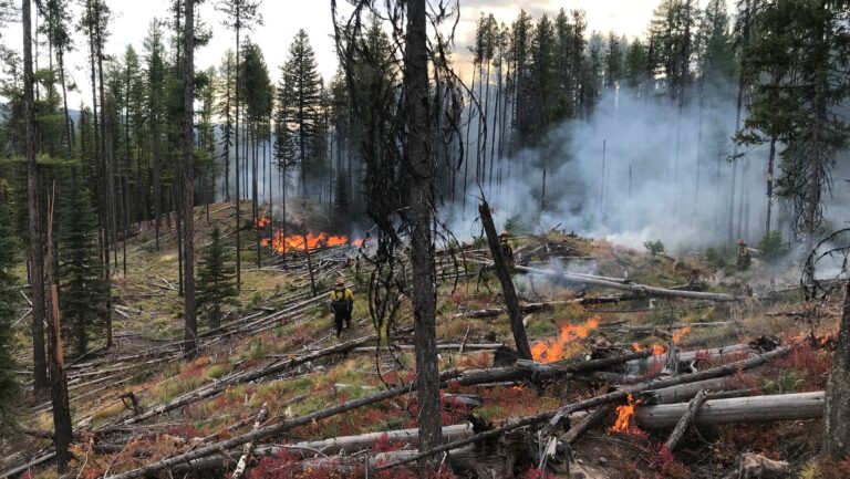 Montana’s prolonged fire season complicates prescribed burns amid new efforts to innovate the ancient practice