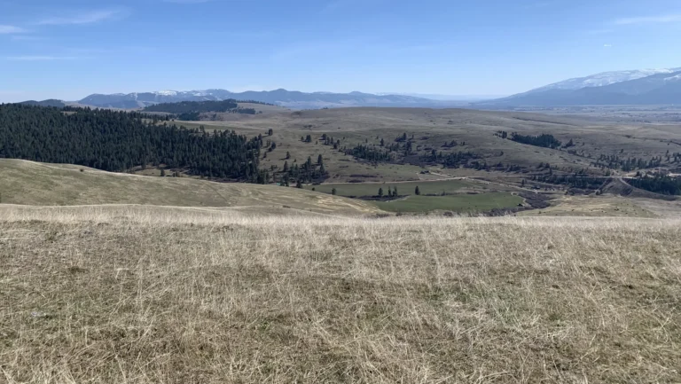 Half of Missoula’s $15 million Open Space Bond remains after a year of big-ticket projects