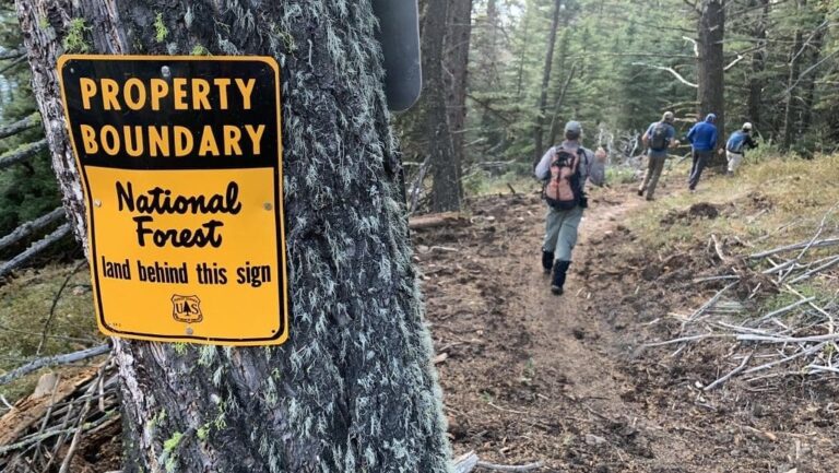 ‘Talented individuals’ laid off from agency will find ‘countless’ opportunities’ outside of government