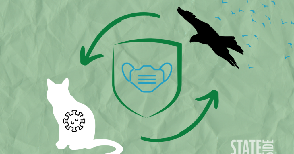 Protecting yourself and your pets against bird flu