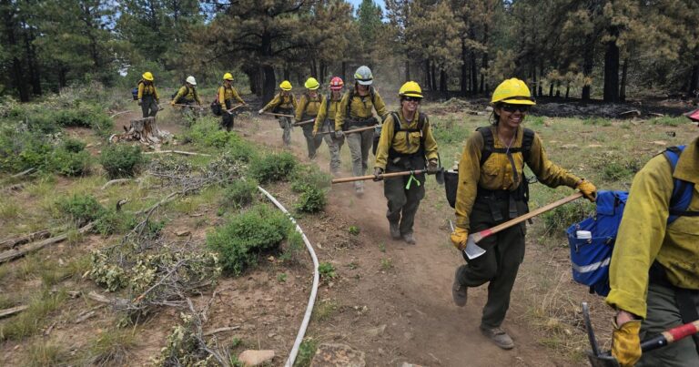 Study shows effects of PTSD, anxiety on women firefighters