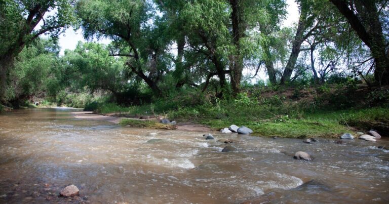 Push to make parts of the Santa Cruz River a wildlife refuge gets research funding boost