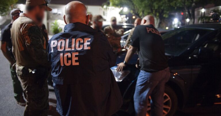 Making sense of Michigan's immigration data