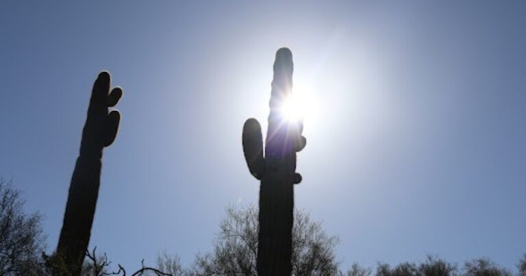 Heat-related deaths decreased in Maricopa County during the hottest year on Phoenix's record