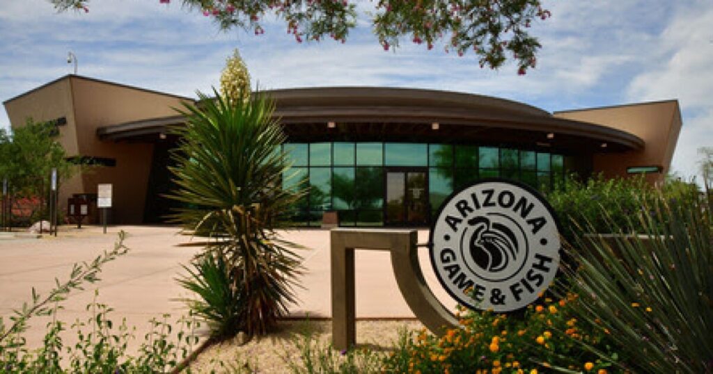 AZ Game and Fish Commission to consider dog pack hunting ban