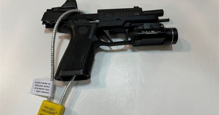 Gun safety activists rally for ghost gun, manufacturer immunity laws