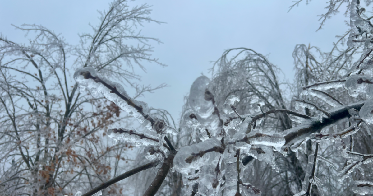 Michigan House to Vote on $75M Ice Storm Recovery Bill This Week