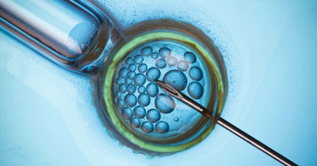 Stateside Podcast: Who gets the embryos?