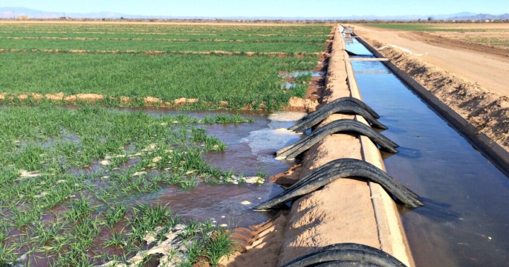 Colorado River Basin has lost as much water as a full Lake Mead since 2003, study says