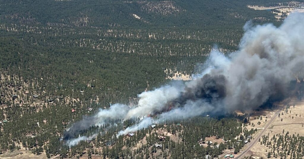 Wind-driven wildfire forces evacuation of Greer in eastern Arizona