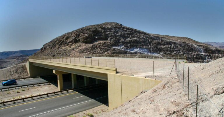 Work begins on I-17 wildlife overpass south of Flagstaff