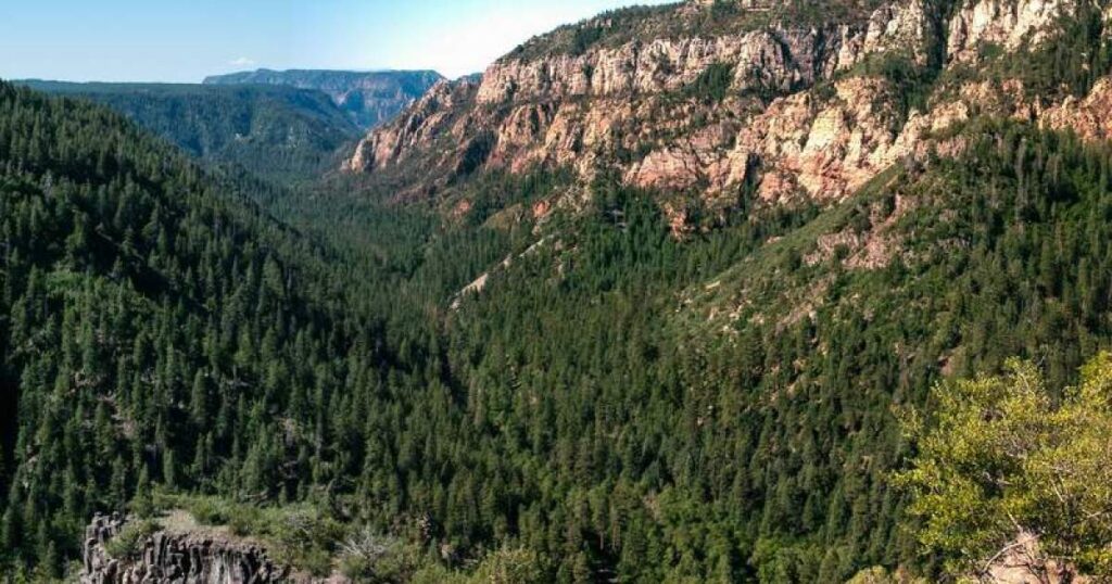 Infant killed in off-road vehicle crash near Oak Creek Canyon