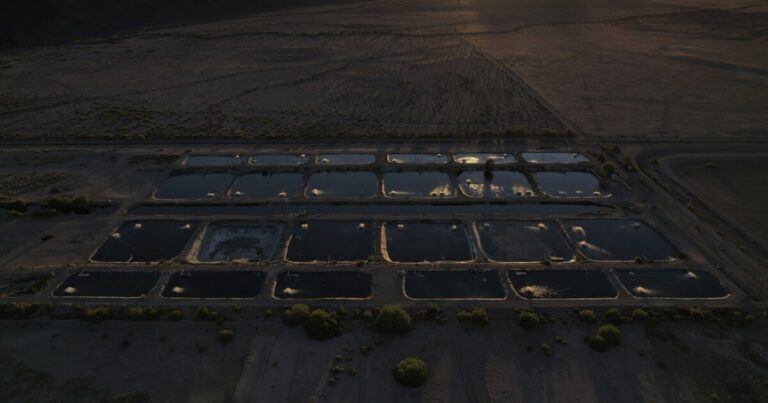 Like Saudi-backed alfalfa farm, this Australian fishery is pumping Arizona groundwater