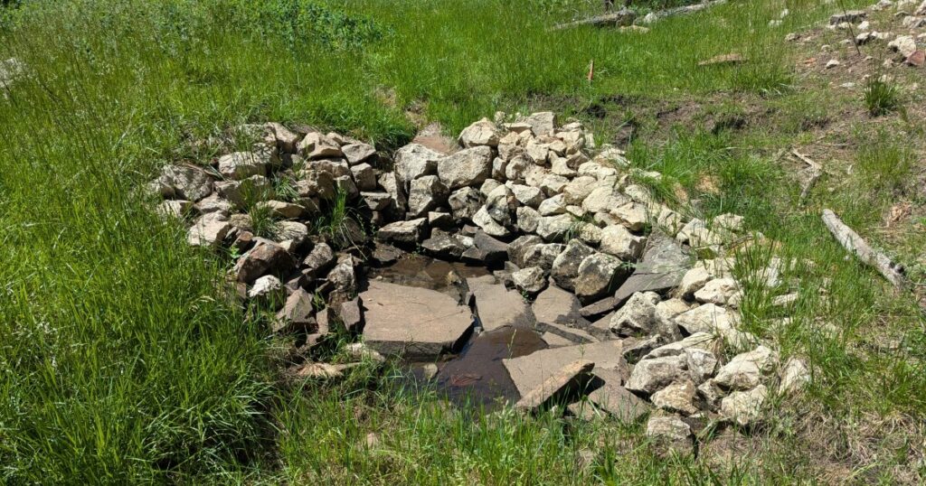 Earth Notes: Wet Meadow Restoration