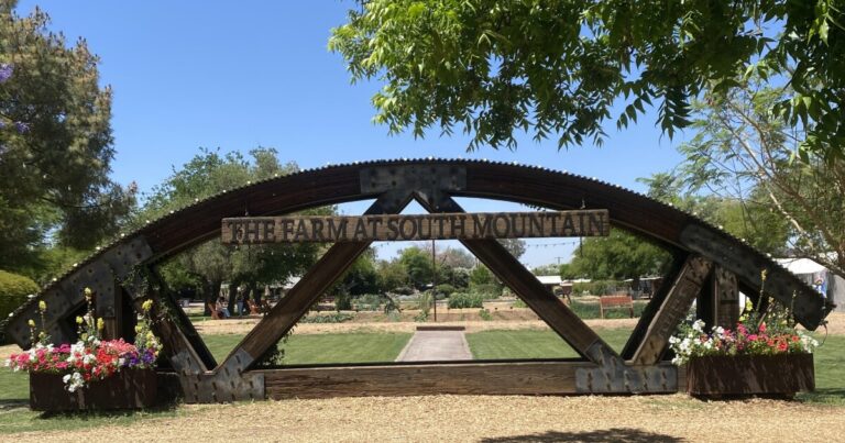 Farm-to-table operations come and go in Phoenix. The Farm at South Mountain has outlasted many