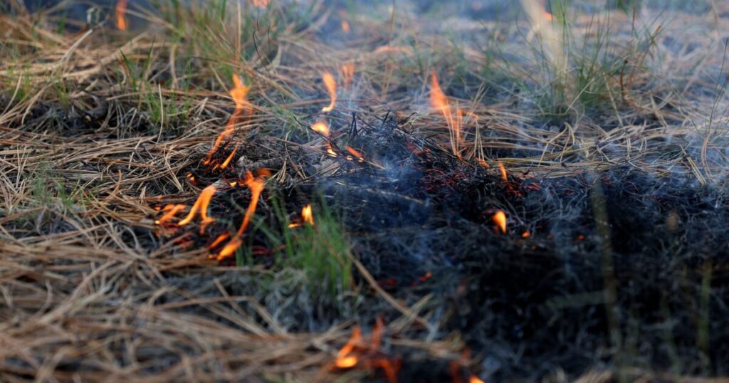 Water can be contaminated for up to 8 years after a wildfire, study says