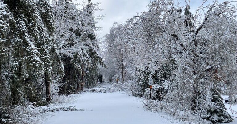 Trump approves $50M for ice storm recovery