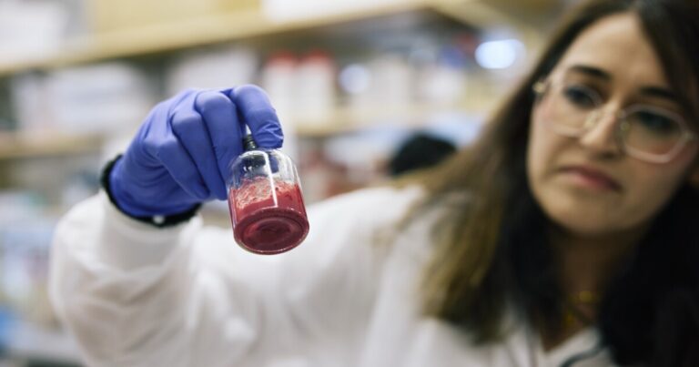 Scientists are developing artificial blood that could save lives in emergencies