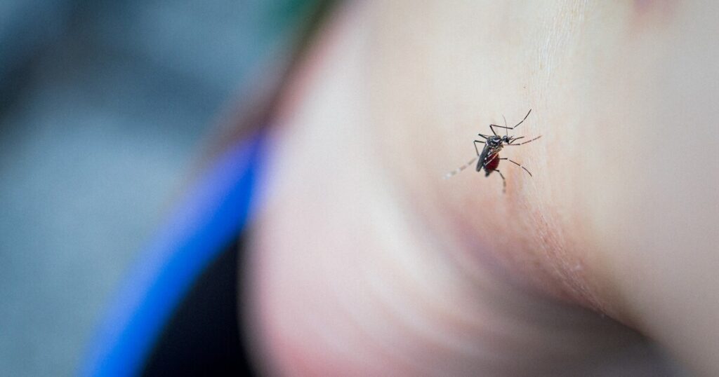 Want to make yourself less appealing to mosquitoes? Our quiz has surprising ideas