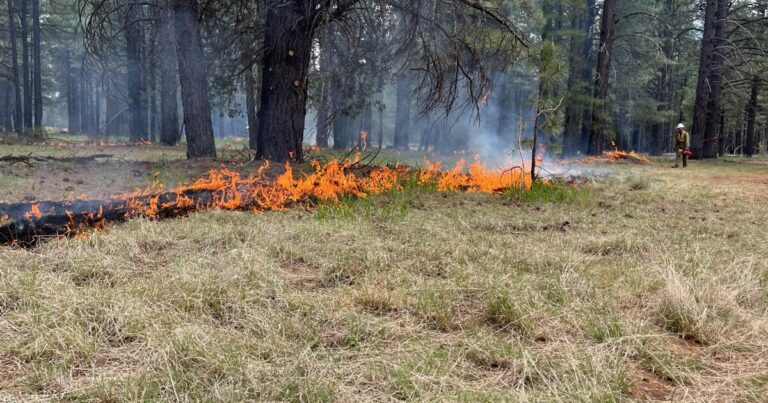 Crews fight small wildfire west of Flagstaff Wednesday