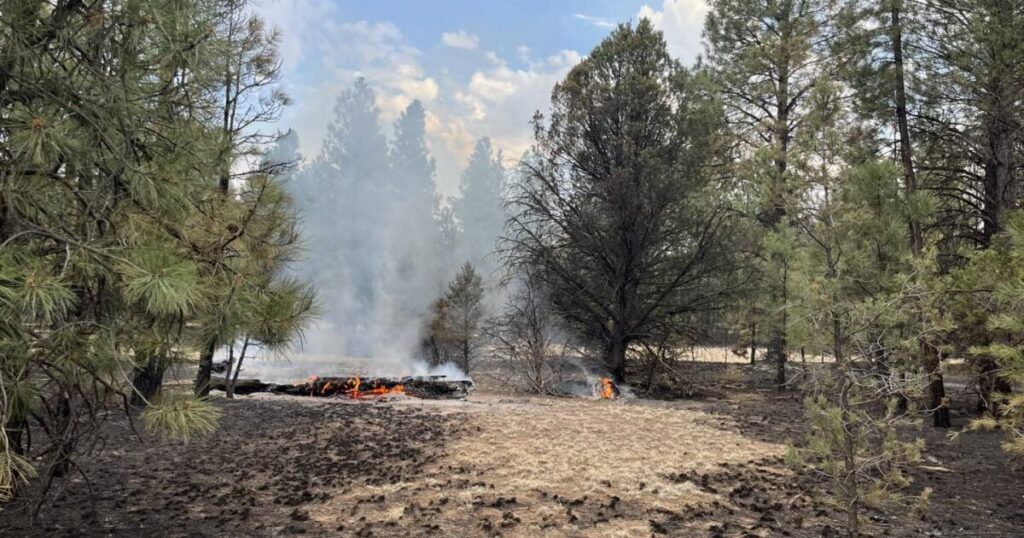 Evacuations lifted on Oak Ridge Fire, containment at 87%