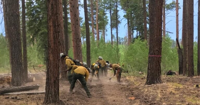 Proactive management critical despite Grand Canyon fire