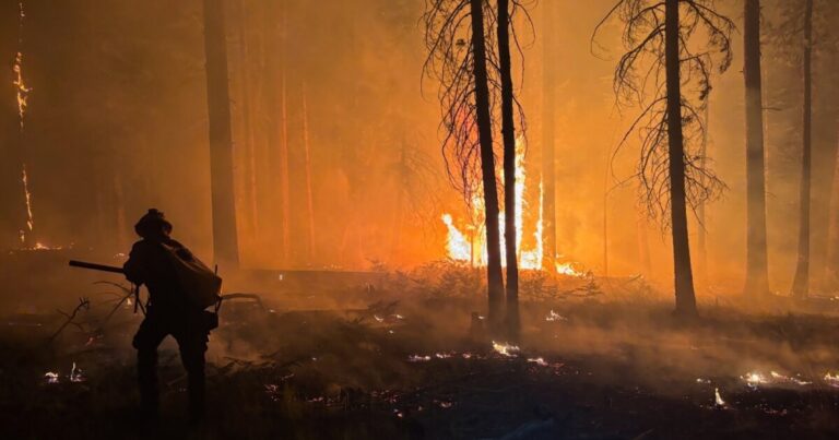Grand Canyon wildfires displaced dozens of park staff. Here's how you can help them