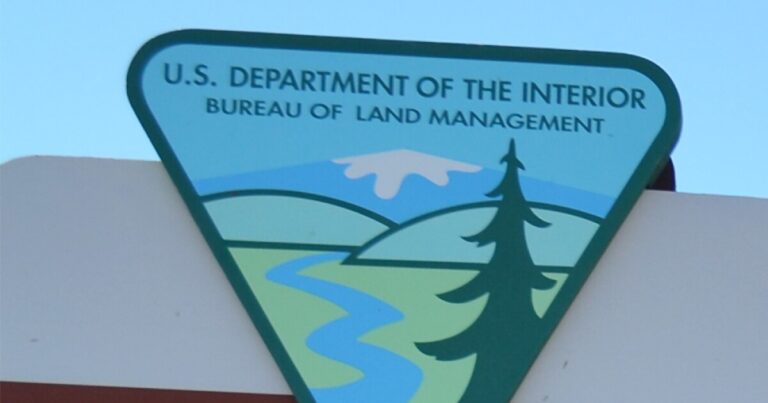 Environmentalists, tribes ask BLM to reconsider southern Arizona mining project