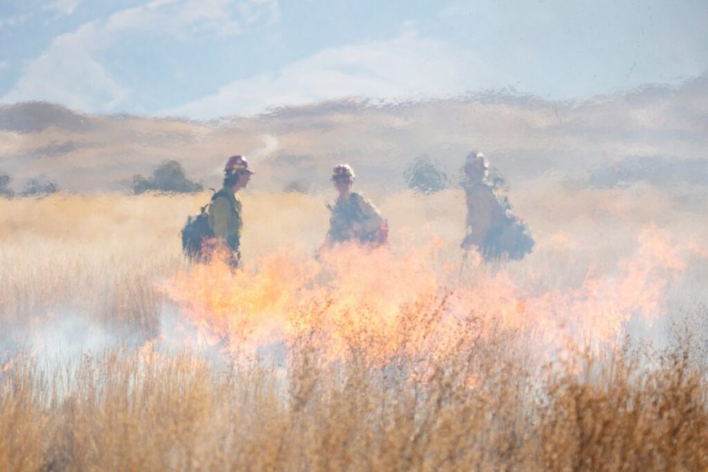 wildfire prescribed burn Yellowstone National Park