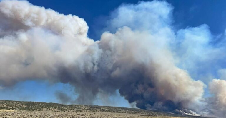White Sage Fire evacuation area expands after rapid overnight growth