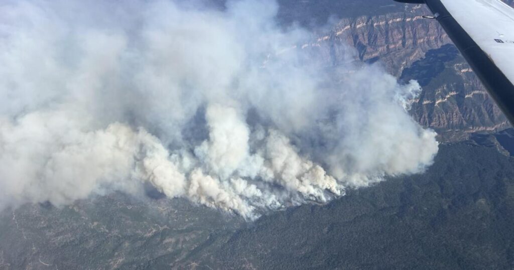 Dragon Bravo Fire now 29% contained