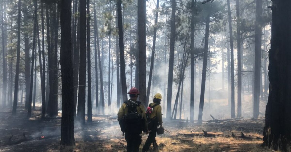Assessment of Dragon Bravo Fire shows mostly 'low' burn severity