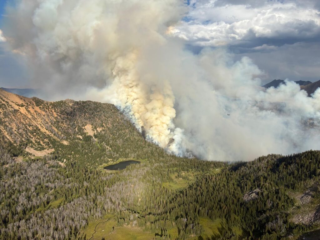 A wildfire burns the forest near a lake.