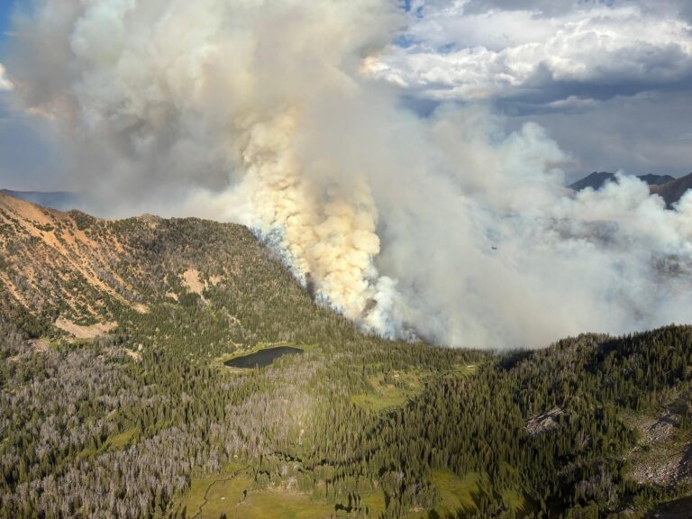 A wildfire burns the forest near a lake.
