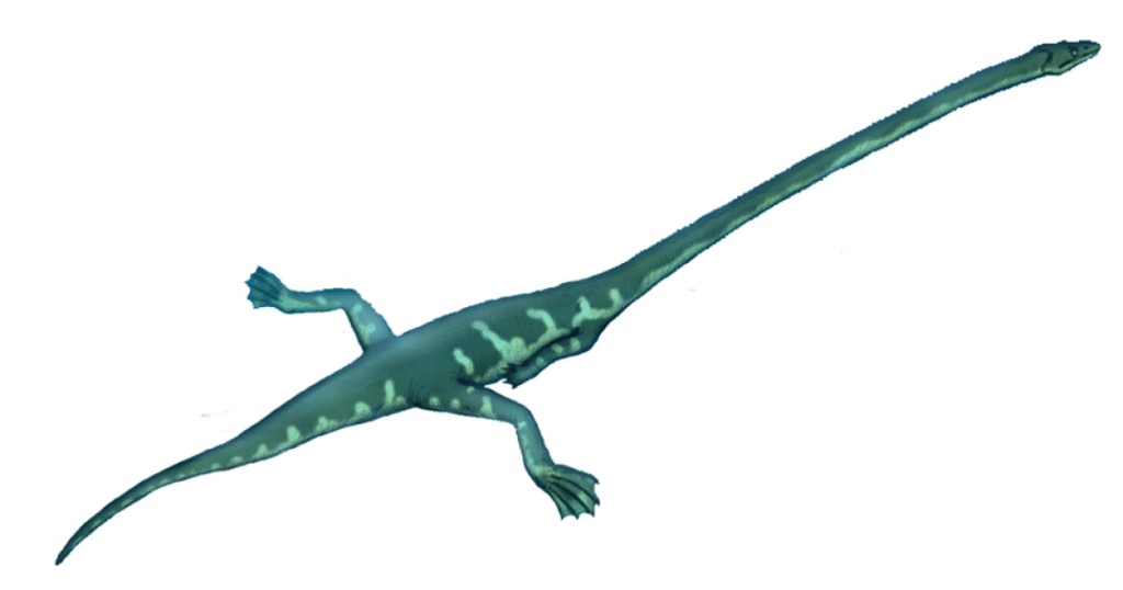 Tiny fossils found at Petrified Forest NP reveal new dinosaur species