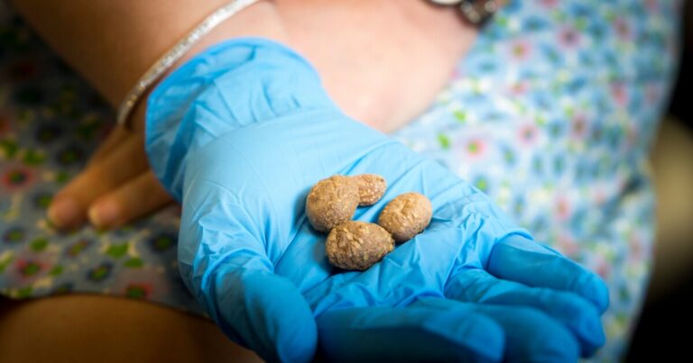 Earth Notes: Four Corners Potato