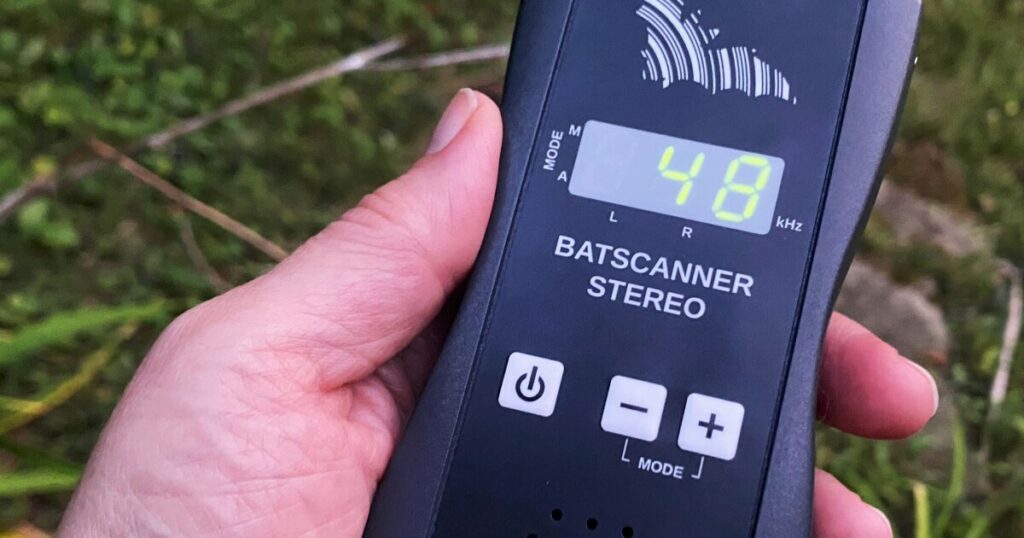 The night of the batscanner