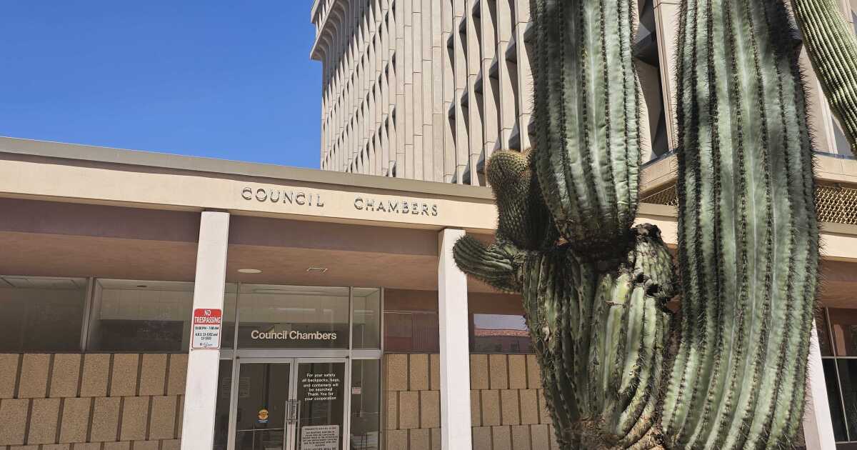 Judge rules against suit filed by Tucson council candidate Sadie Shaw