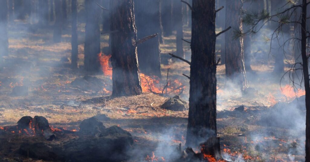 Study shows Western Apache peoples used more effective controlled burns long before U.S.