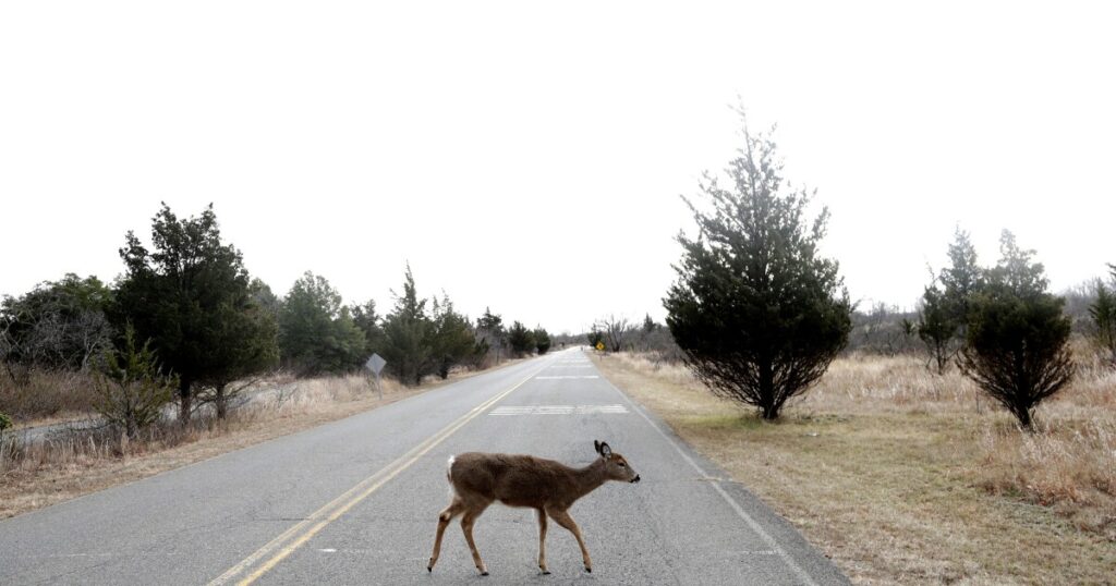 Here's what a government shutdown could affect around the country