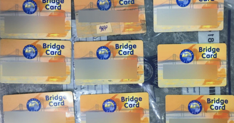 House passes Bridge Card ID bill