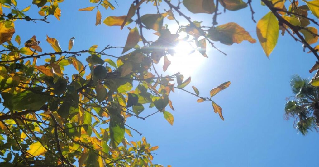 When do triple-digit temperatures usually end in Phoenix?