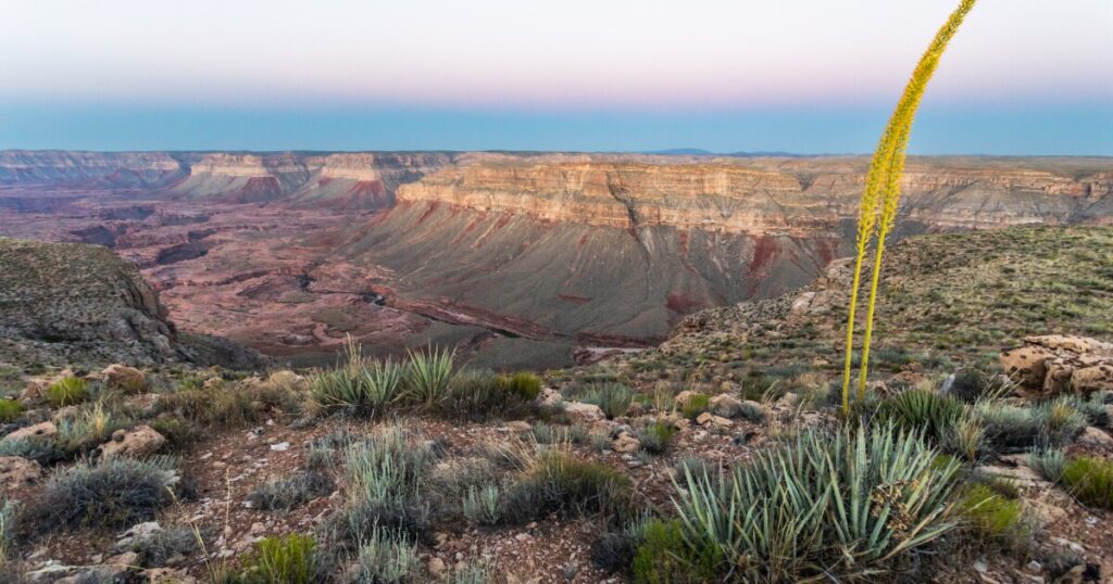 Gosar introduces legislation to nullify two Arizona national monuments