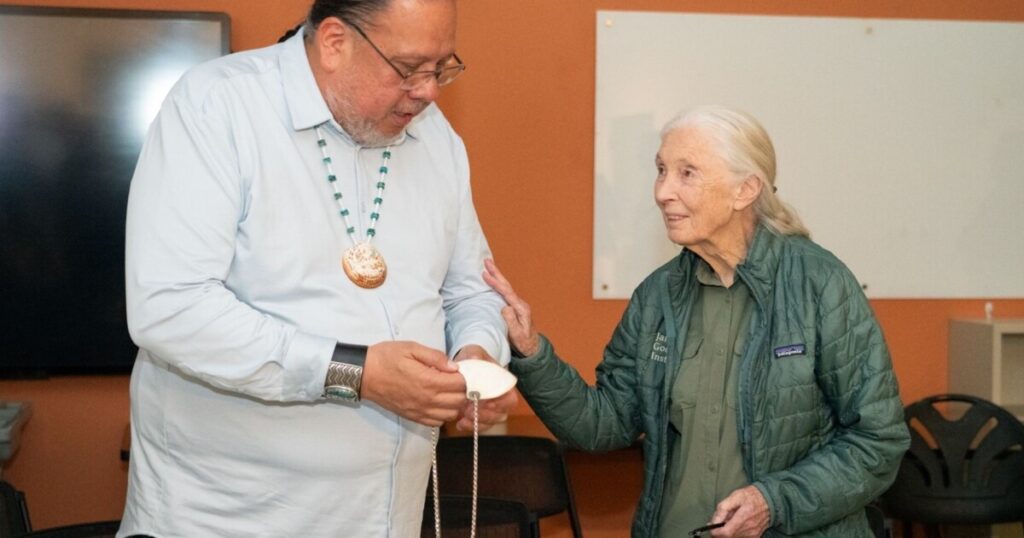 ASU Institute of Human Origins professor remembers Jane Goodall, who inspired his career