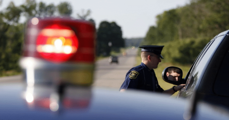 Audit finds flaws in State Police oversight of sex offender registry