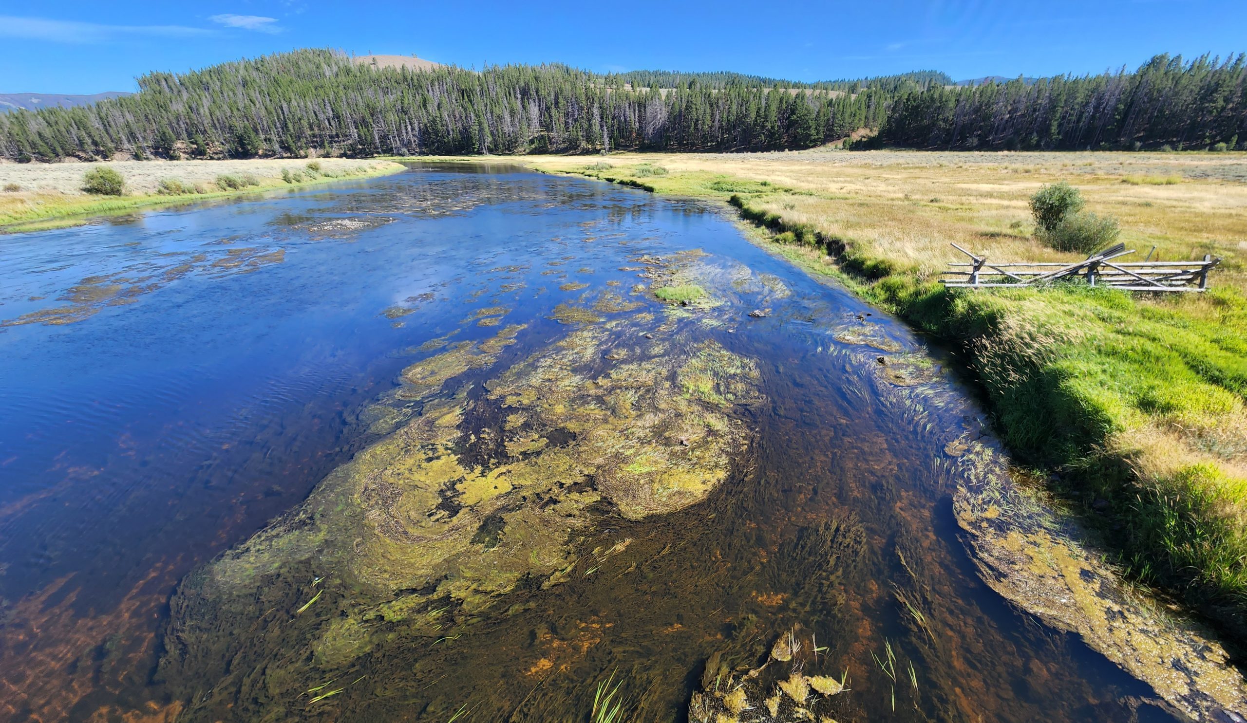 EPA clears Montana’s environmental regulator to loosen water quality standards
