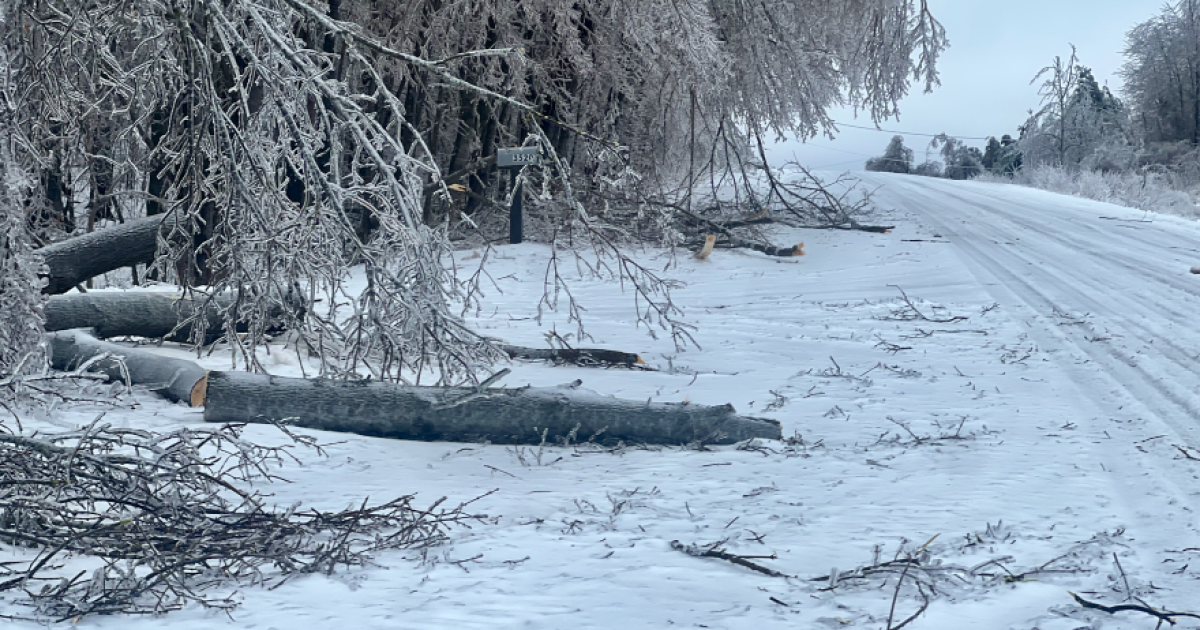 FEMA Denies Michigans Appeal for More Aid After Historic Ice - Kitchen Table News Federal government denies further aid for Northern Michigan ice storm recovery
