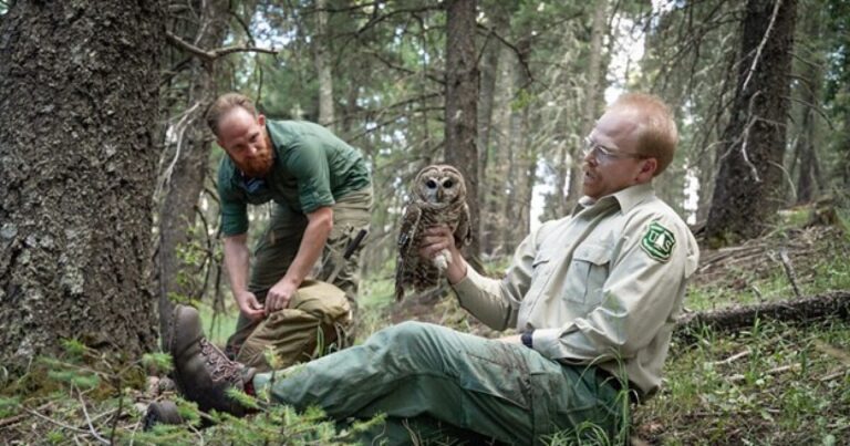 Mexican Spotted Owls & Changing Landscapes